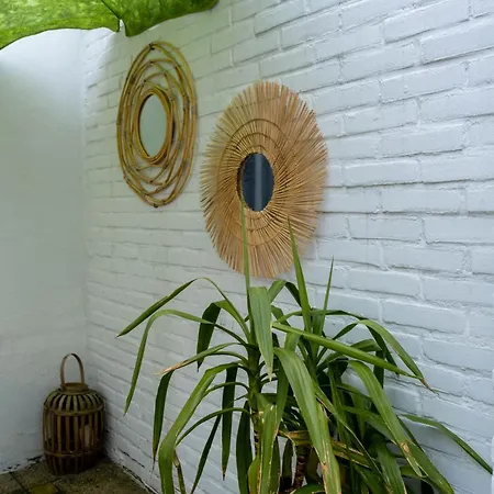 度假居 Huis Juliana 海边的艾格蒙特